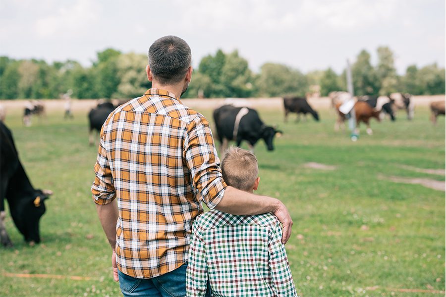 Specialized Business Insurance - Back View of Father and Son Standing Together and Looking at Cows Grazing on the Farm